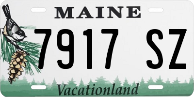 ME license plate 7917SZ