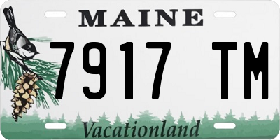 ME license plate 7917TM