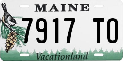 ME license plate 7917TO