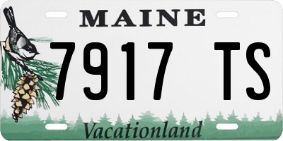 ME license plate 7917TS