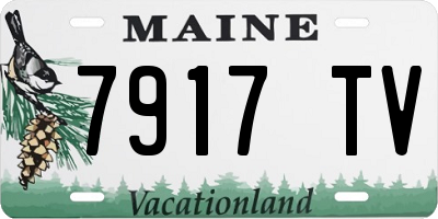 ME license plate 7917TV