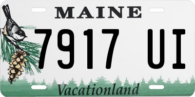 ME license plate 7917UI