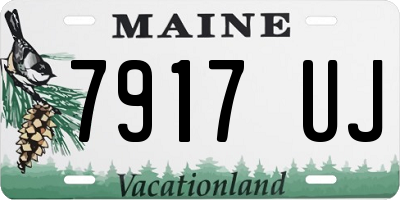 ME license plate 7917UJ