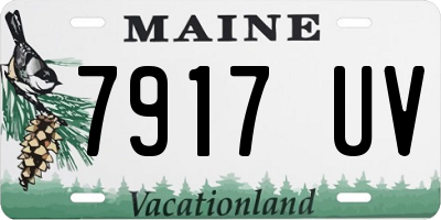 ME license plate 7917UV