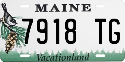 ME license plate 7918TG