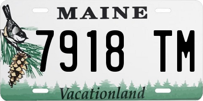 ME license plate 7918TM