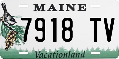 ME license plate 7918TV