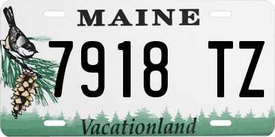 ME license plate 7918TZ