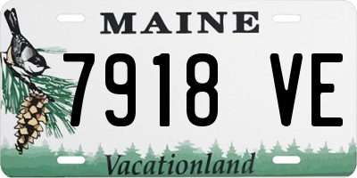 ME license plate 7918VE