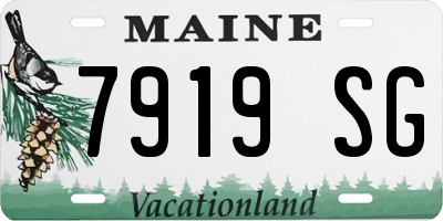 ME license plate 7919SG