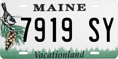 ME license plate 7919SY