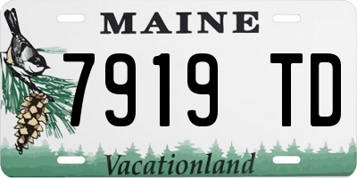 ME license plate 7919TD
