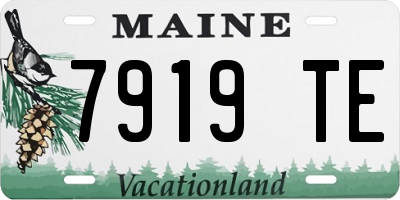 ME license plate 7919TE