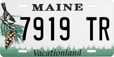 ME license plate 7919TR