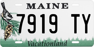 ME license plate 7919TY