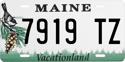 ME license plate 7919TZ