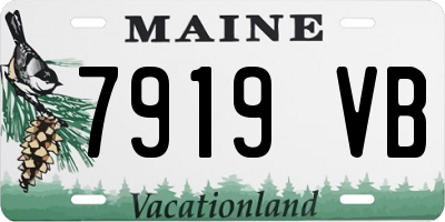 ME license plate 7919VB