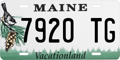 ME license plate 7920TG