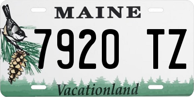 ME license plate 7920TZ
