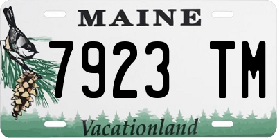 ME license plate 7923TM