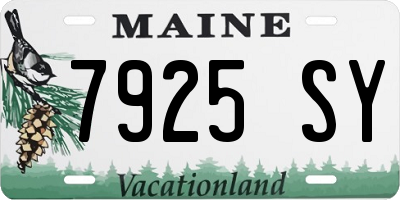 ME license plate 7925SY