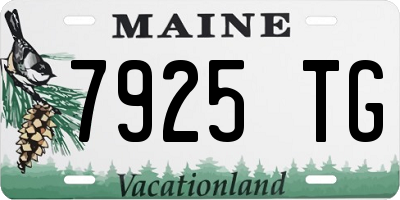 ME license plate 7925TG