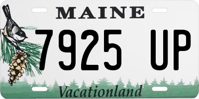 ME license plate 7925UP