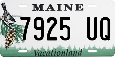 ME license plate 7925UQ