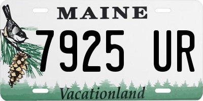 ME license plate 7925UR