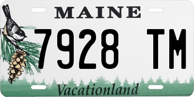 ME license plate 7928TM