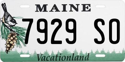 ME license plate 7929SO