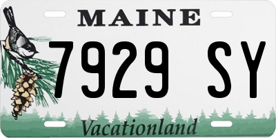 ME license plate 7929SY
