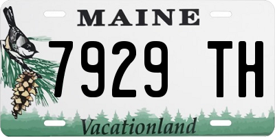 ME license plate 7929TH