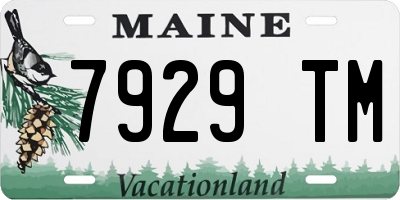 ME license plate 7929TM