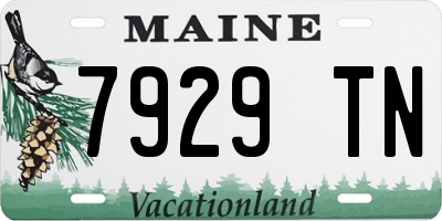 ME license plate 7929TN