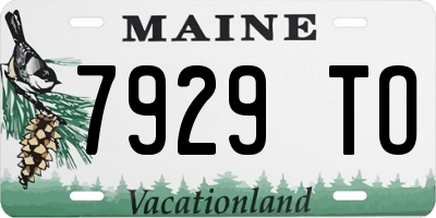 ME license plate 7929TO