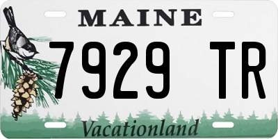 ME license plate 7929TR
