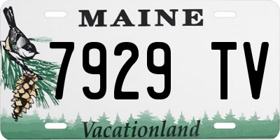 ME license plate 7929TV