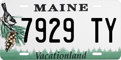 ME license plate 7929TY