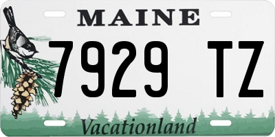ME license plate 7929TZ