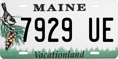 ME license plate 7929UE