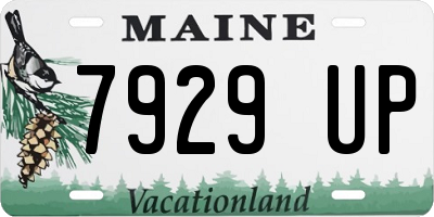 ME license plate 7929UP
