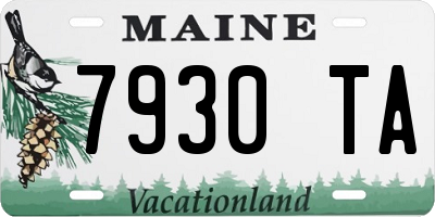 ME license plate 7930TA