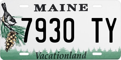ME license plate 7930TY