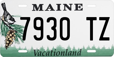 ME license plate 7930TZ
