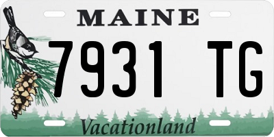 ME license plate 7931TG