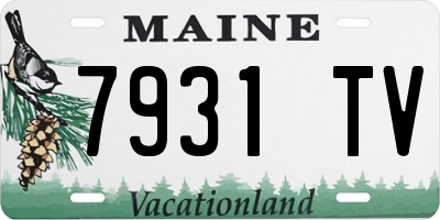ME license plate 7931TV