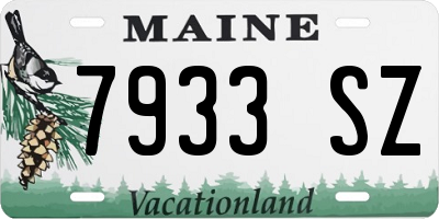 ME license plate 7933SZ