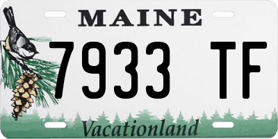ME license plate 7933TF