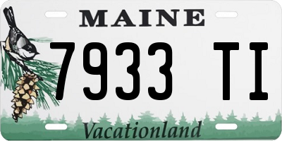 ME license plate 7933TI